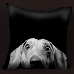 подушка - такса